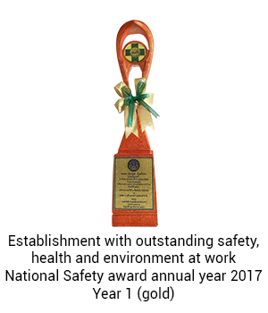 Establishment with outstanding safety, health and environment at work, National Safety award annual year 2017, Year 1 (gold)